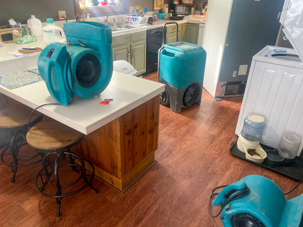 Best Professional water damage repair  in Harsville, RI