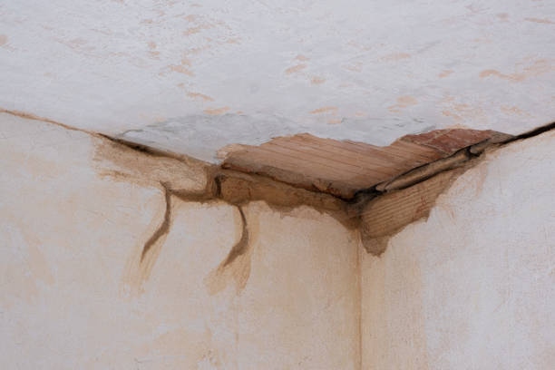 Best 24/7 water damage repair  in Harsville, RI