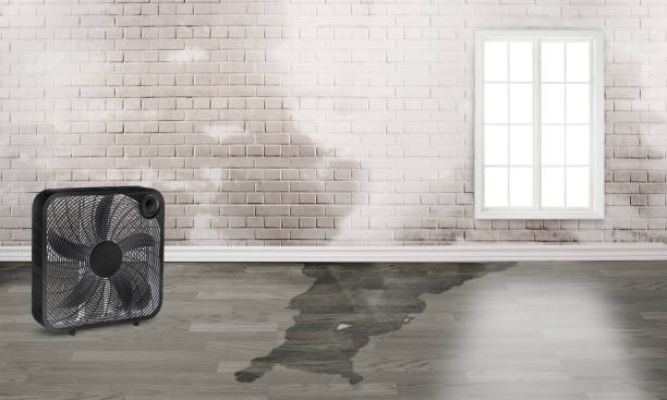Best Flood damage cleanup  in Harsville, RI