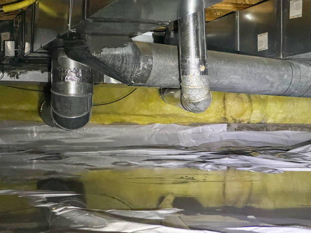 Best Water damage contractors near me  in Harsville, RI
